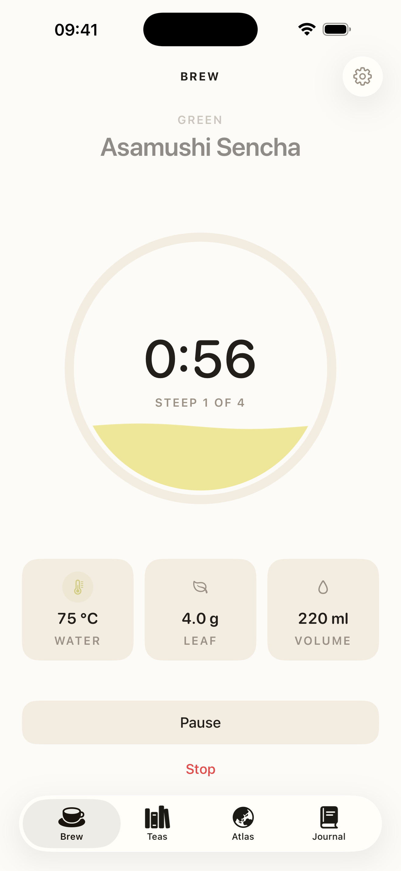 Pekoe timing the first infusion of Asamushi Sencha