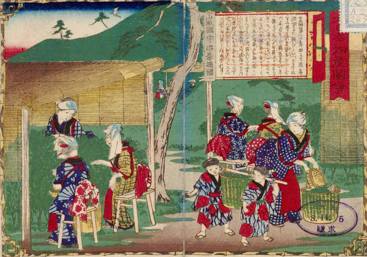 The Tea Picking in Uji, Yamashiro Province (Uji Chatsumi Zu)